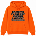 Be Careful, I’m Not Sure Which Me I Am Today Classic Unisex Hoodie