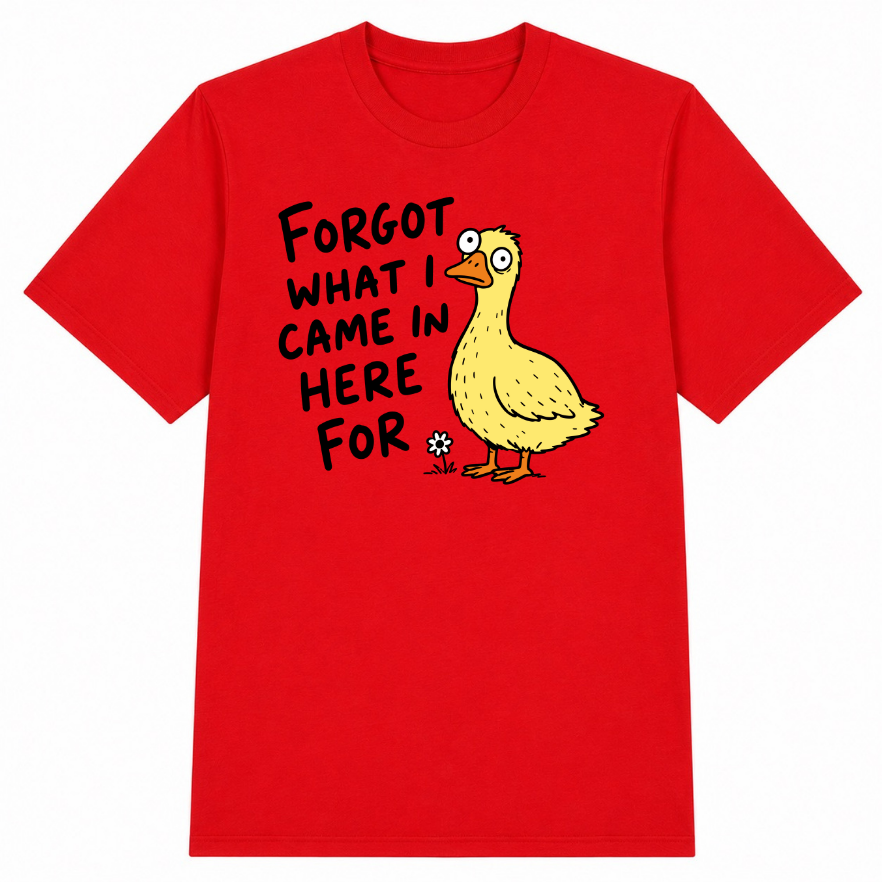 Forgot What I Came in Here For Classic Unisex T-Shirt