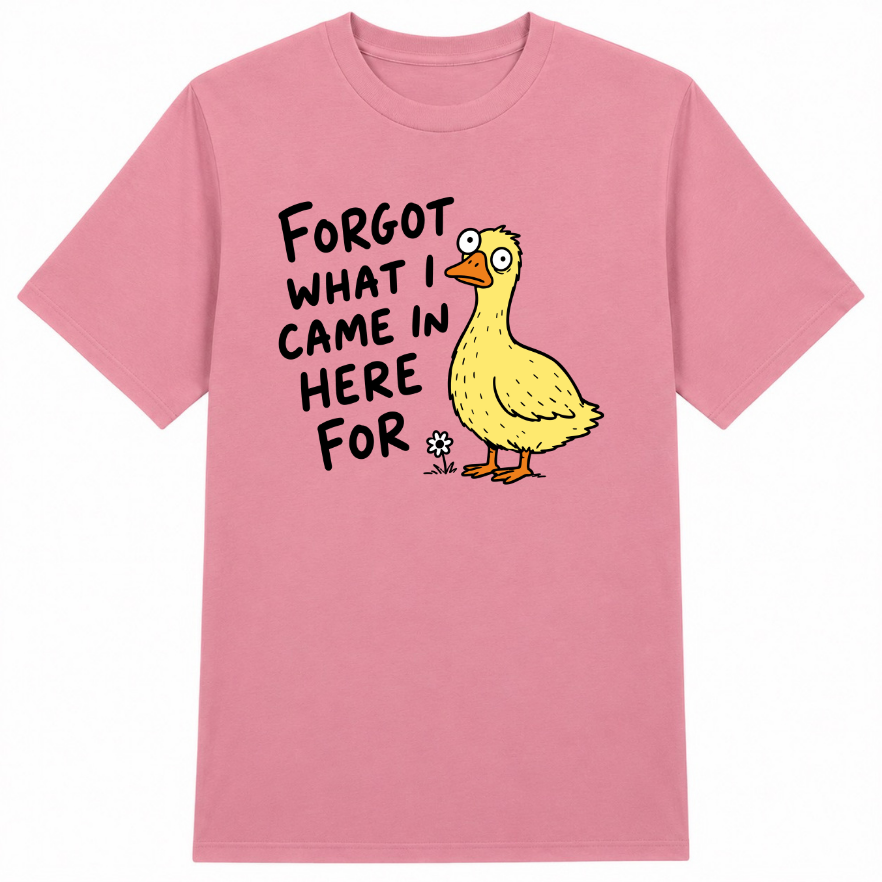 Forgot What I Came in Here For Classic Unisex T-Shirt
