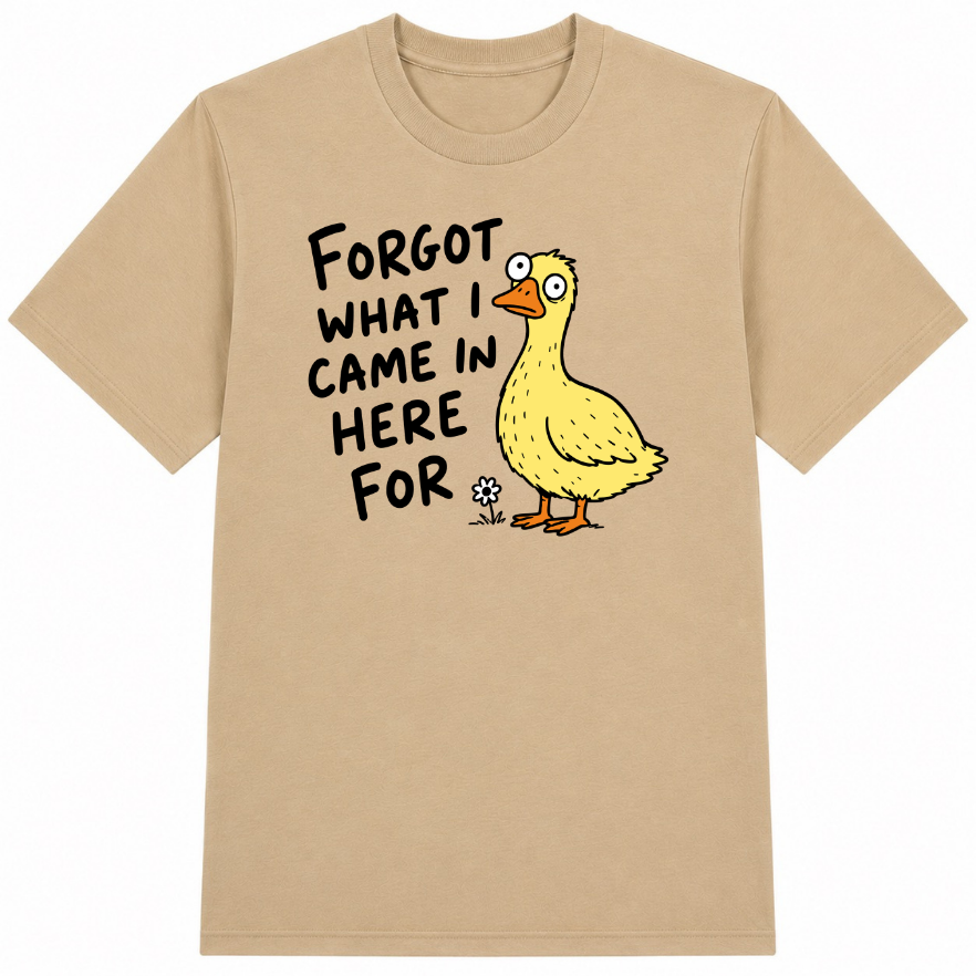 Forgot What I Came in Here For Classic Unisex T-Shirt