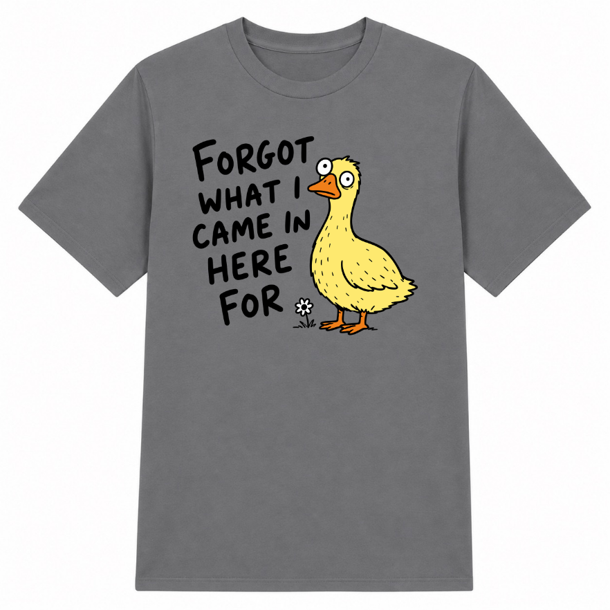 Forgot What I Came in Here For Classic Unisex T-Shirt