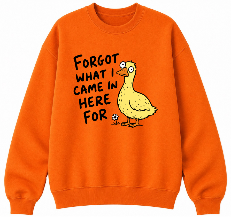 Forgot What I Came in Here For Classic Unisex Sweatshirt