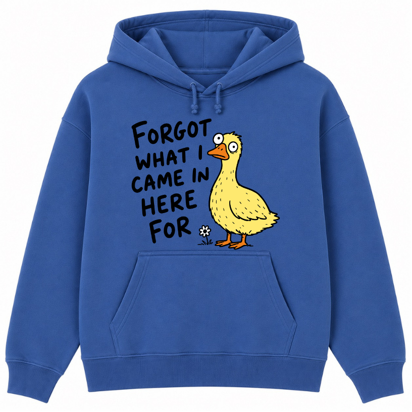 Forgot What I Came in Here For Classic Unisex Hoodie