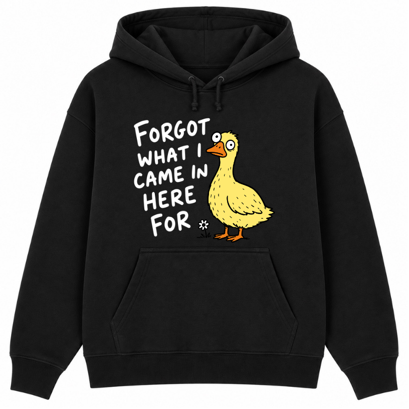 Forgot What I Came in Here For Classic Unisex Hoodie