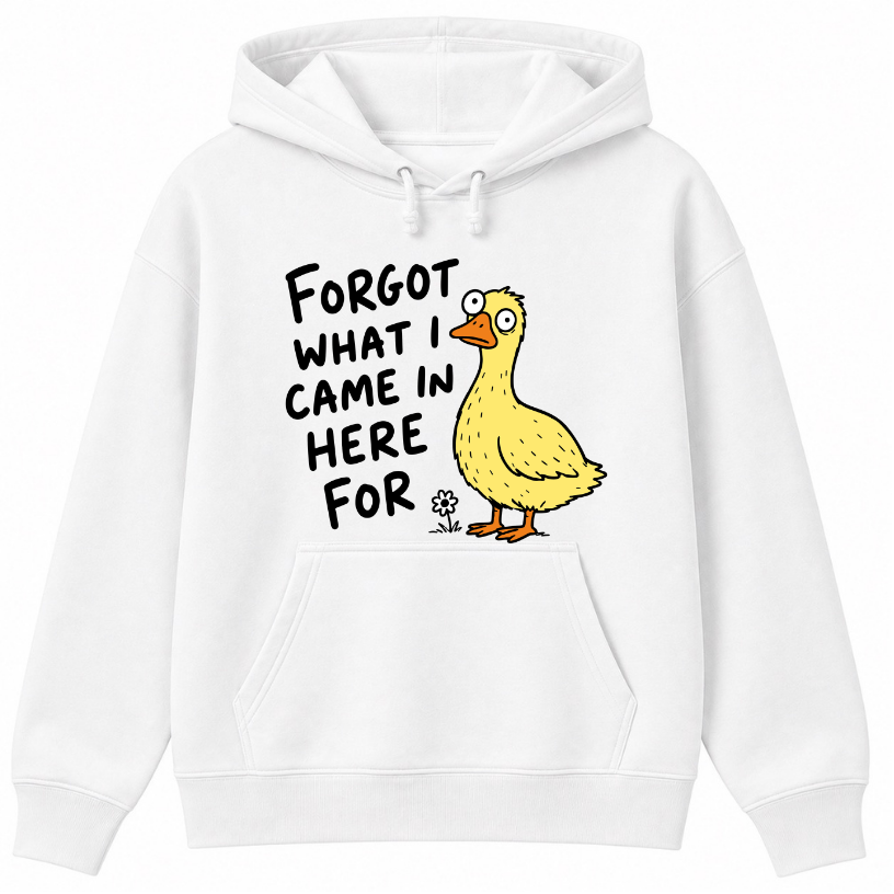 Forgot What I Came in Here For Classic Unisex Hoodie