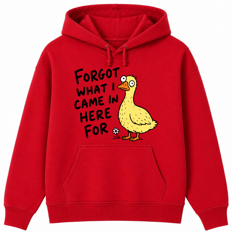 Forgot What I Came in Here For Classic Unisex Hoodie