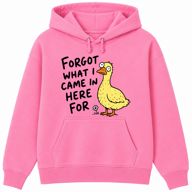 Forgot What I Came in Here For Classic Unisex Hoodie