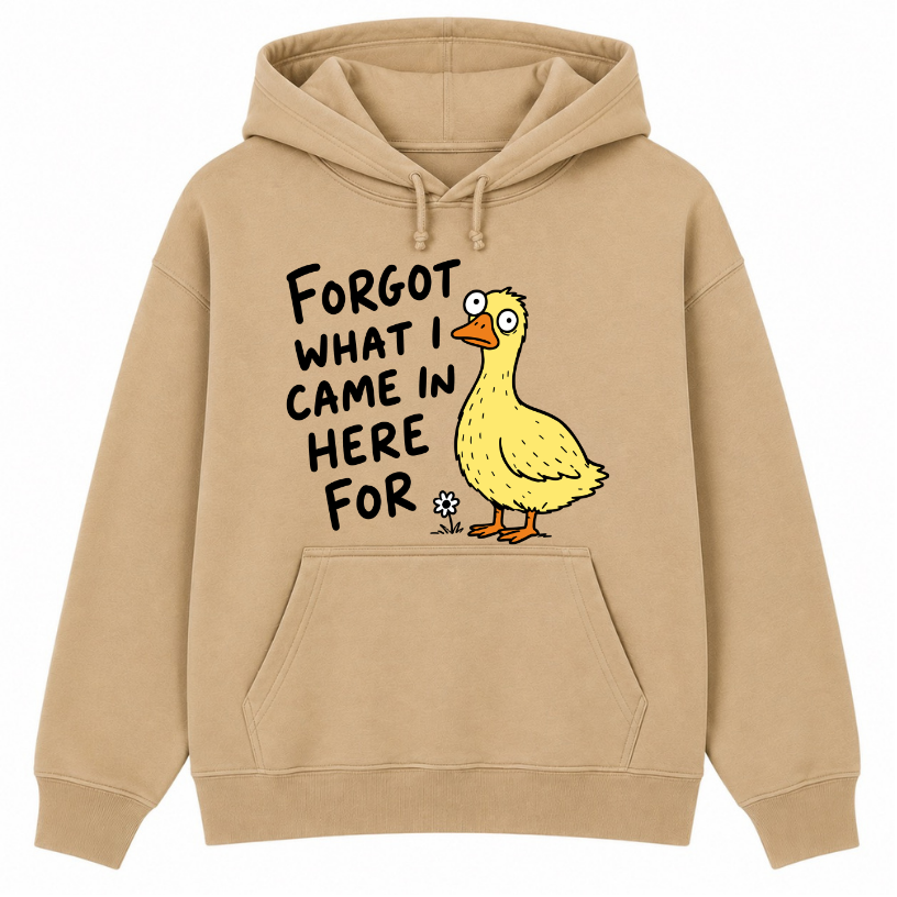 Forgot What I Came in Here For Classic Unisex Hoodie