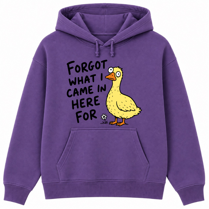 Forgot What I Came in Here For Classic Unisex Hoodie