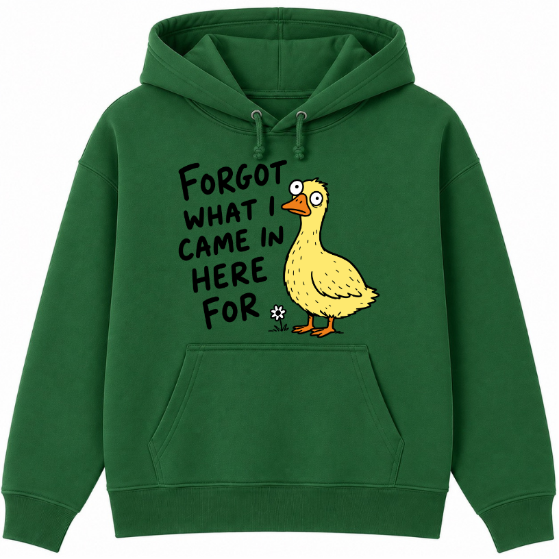Forgot What I Came in Here For Classic Unisex Hoodie