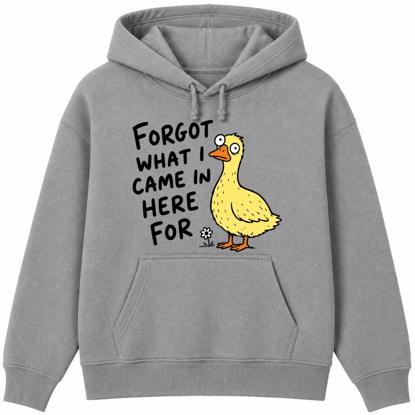 Forgot What I Came in Here For Classic Unisex Hoodie