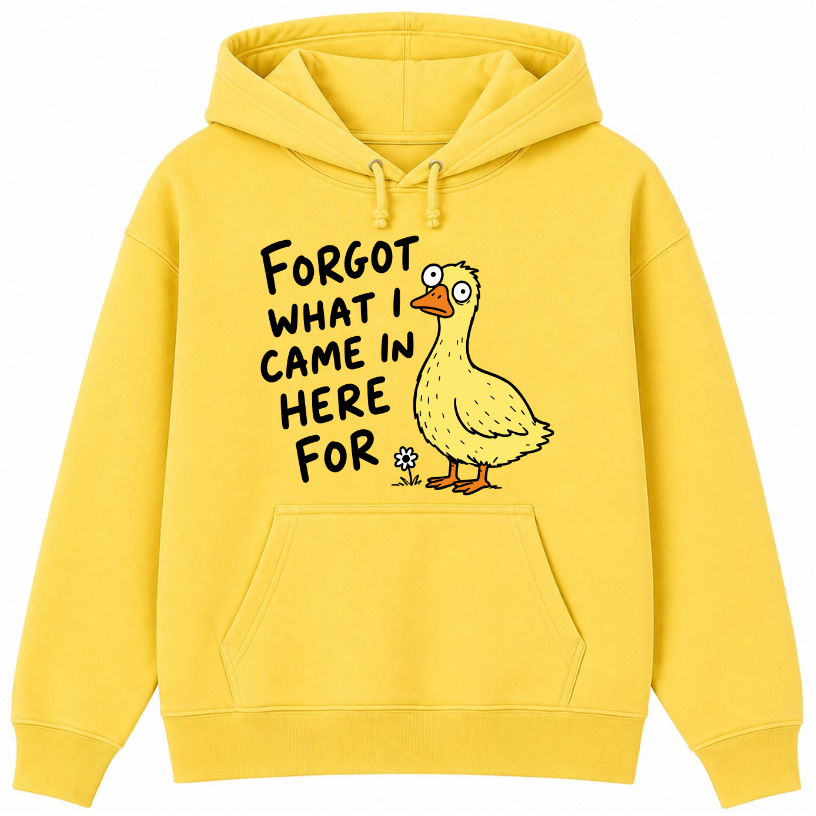 Forgot What I Came in Here For Classic Unisex Hoodie